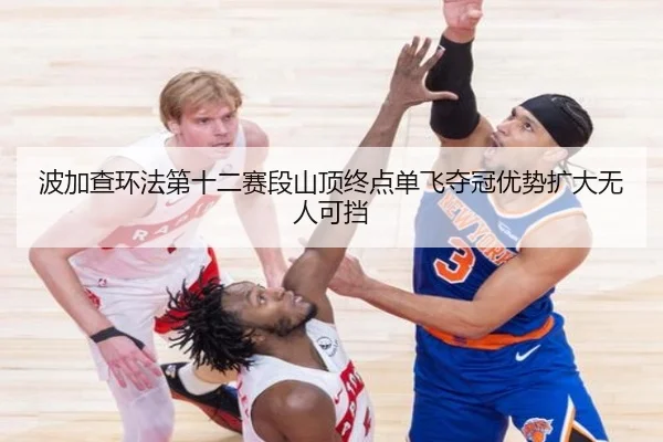 bo-jia-cha-huan-fa-di-shi-er-sai-duan-shan-ding-zhong-dian-dan-fei-duo-guan-you-shi-kuo-da-wu-ren-ke-dang-2-238.jpg